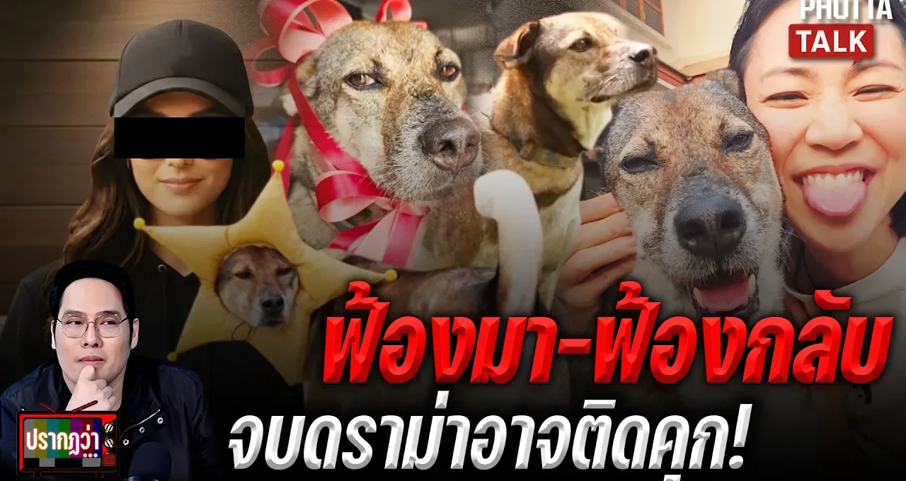 มิ้นท์ I Roam Alone