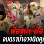 มิ้นท์ I Roam Alone