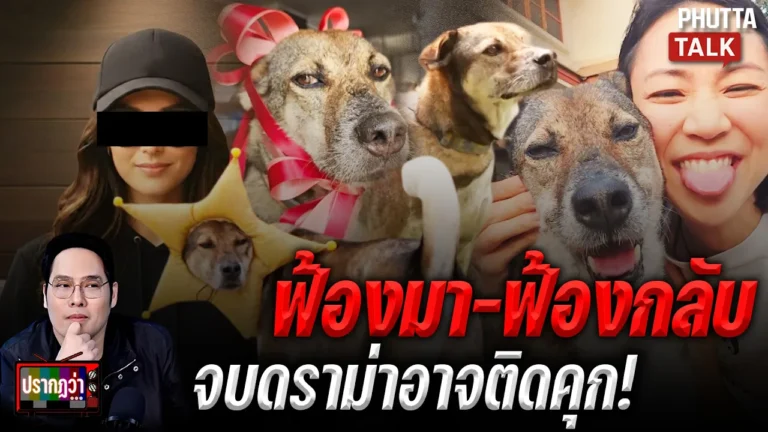 มิ้นท์ I Roam Alone