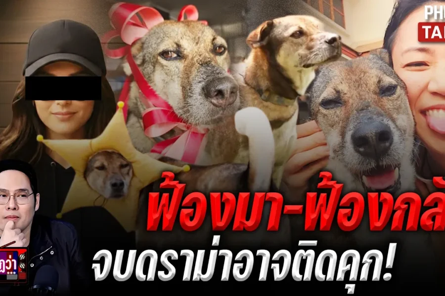 มิ้นท์ I Roam Alone