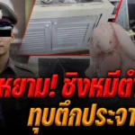 แฟลตตำรวจ